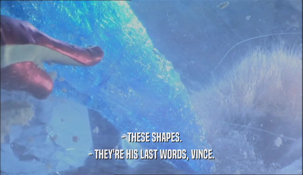 - THESE SHAPES. - THEY'RE HIS LAST WORDS, VINCE. 
