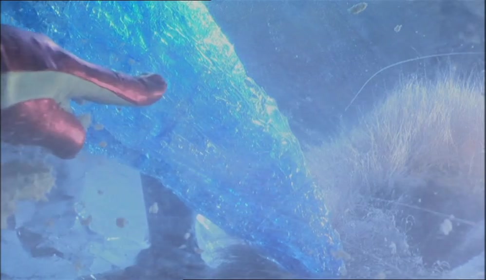 - THESE SHAPES. - THEY'RE HIS LAST WORDS, VINCE. 