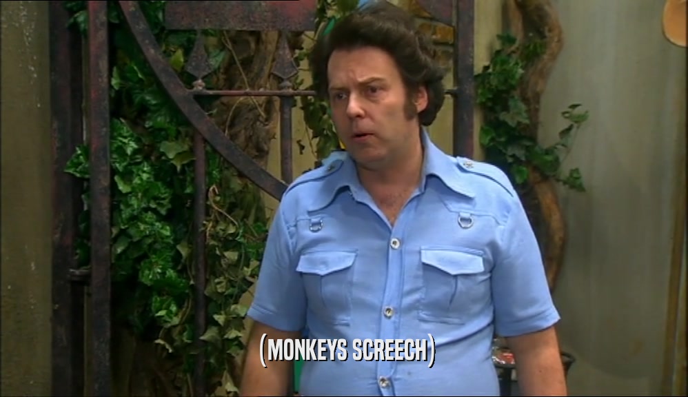 (MONKEYS SCREECH)  