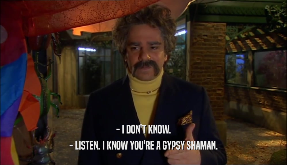 - I DON'T KNOW. - LISTEN. I KNOW YOU'RE A GYPSY SHAMAN. 