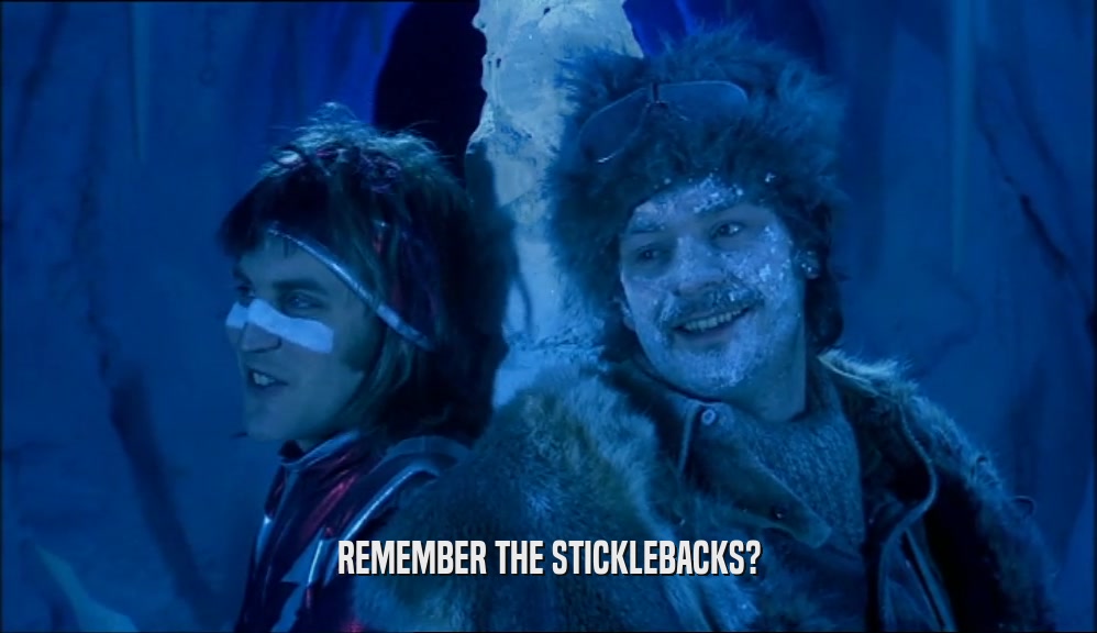 REMEMBER THE STICKLEBACKS?  