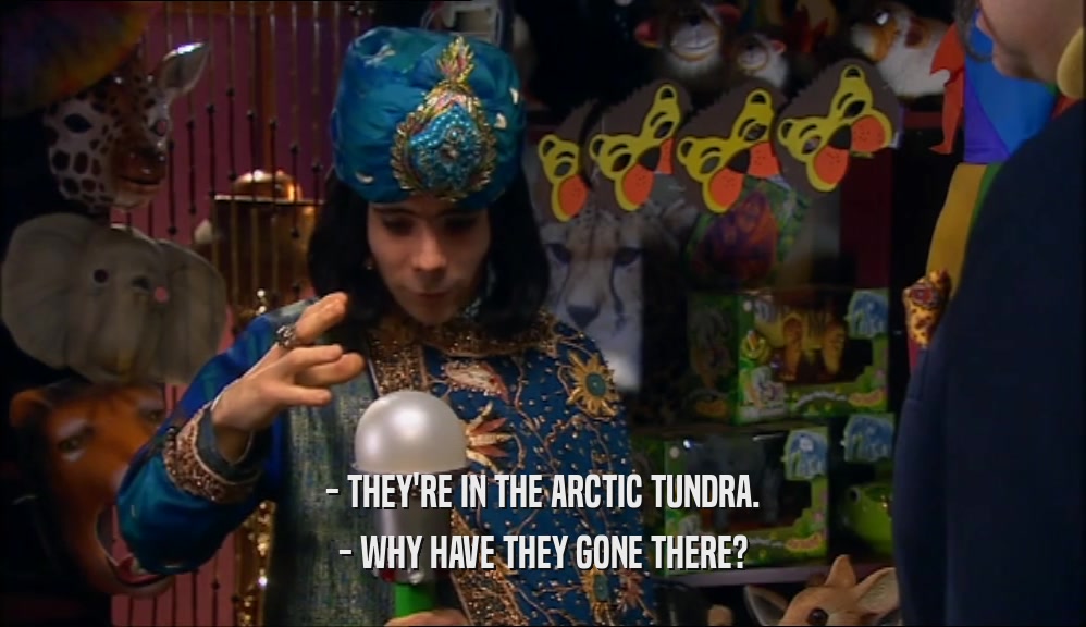 - THEY'RE IN THE ARCTIC TUNDRA. - WHY HAVE THEY GONE THERE? 