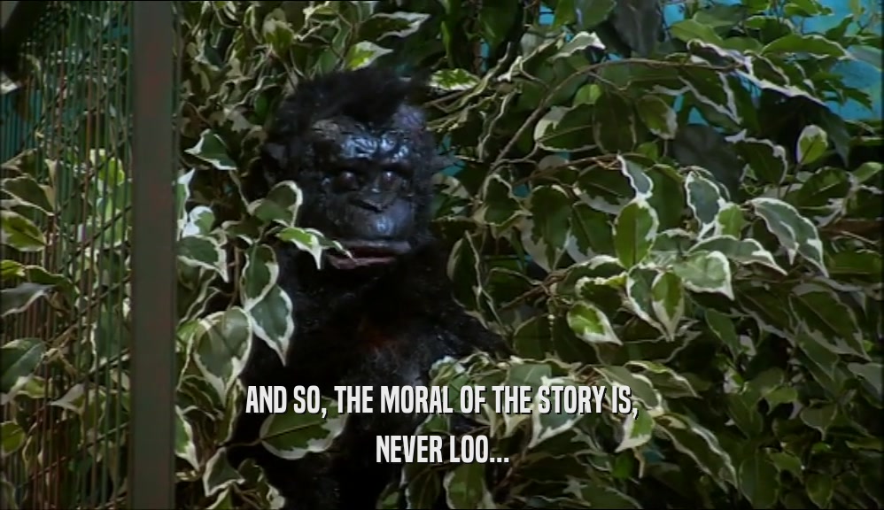 AND SO, THE MORAL OF THE STORY IS, NEVER LOO... 