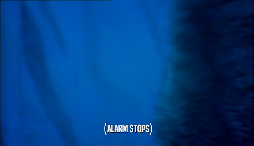 (ALARM STOPS)  