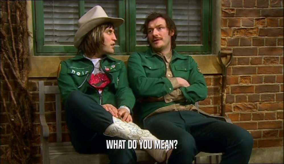 WHAT DO YOU MEAN?  