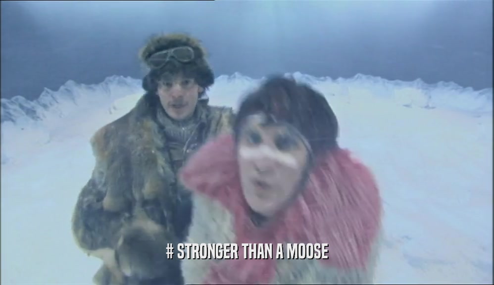 # STRONGER THAN A MOOSE  
