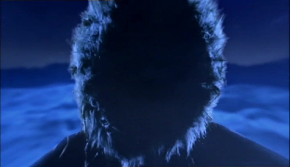 LOOK DEEP INTO THE PARKA AND SHOW ME WHAT YOU DREAM OF. 