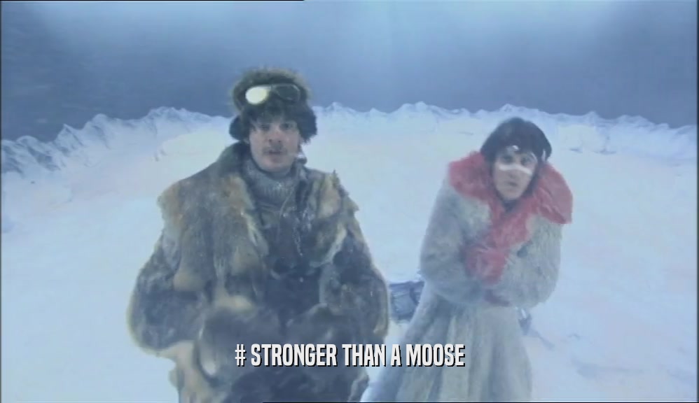 # STRONGER THAN A MOOSE  