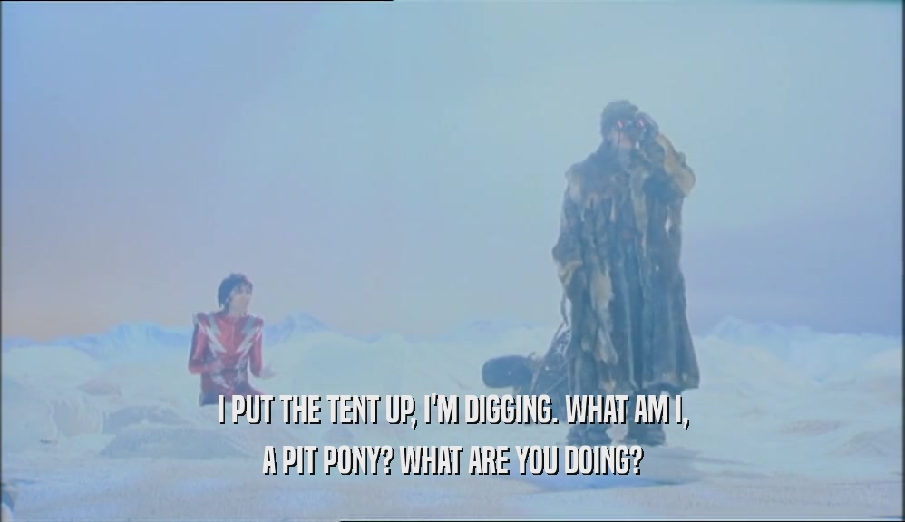 I PUT THE TENT UP, I'M DIGGING. WHAT AM I, A PIT PONY? WHAT ARE YOU DOING? 
