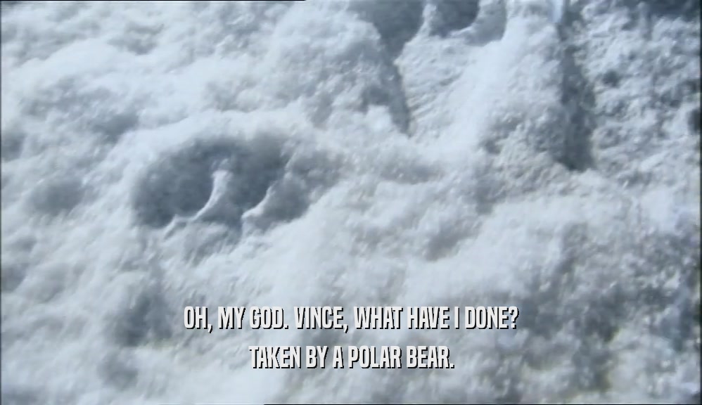 OH, MY GOD. VINCE, WHAT HAVE I DONE? TAKEN BY A POLAR BEAR. 