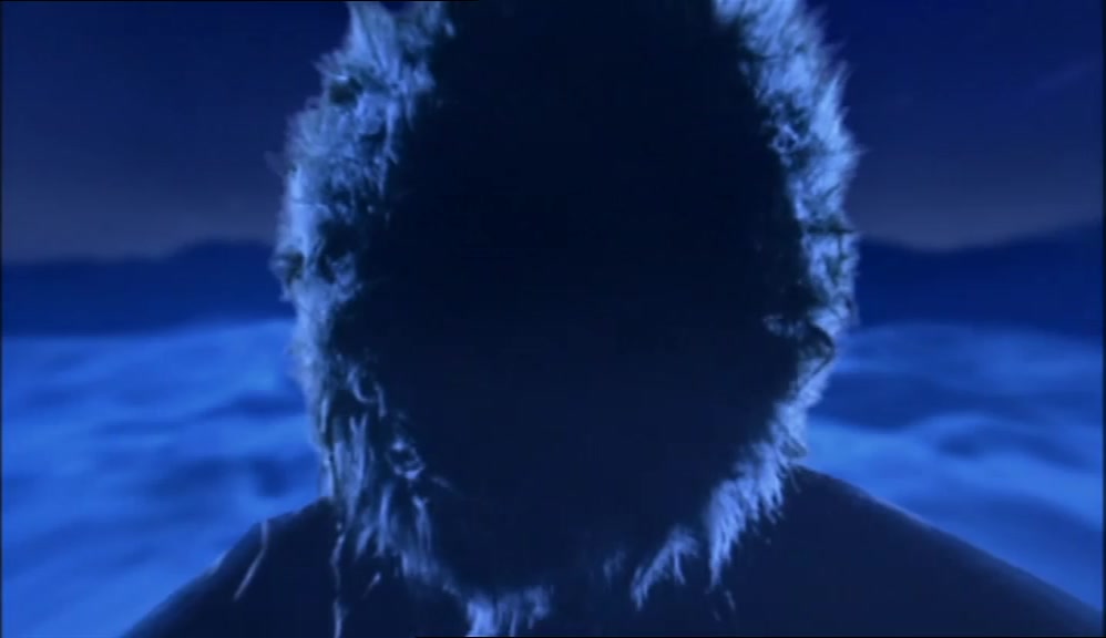 LOOK DEEP INTO THE PARKA AND SHOW ME WHAT YOU DREAM OF. 