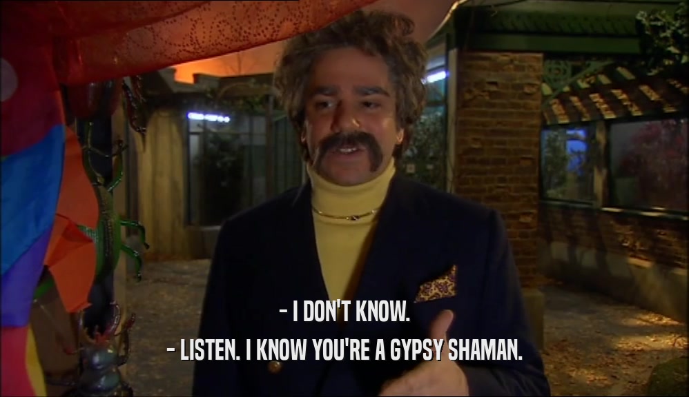 - I DON'T KNOW. - LISTEN. I KNOW YOU'RE A GYPSY SHAMAN. 