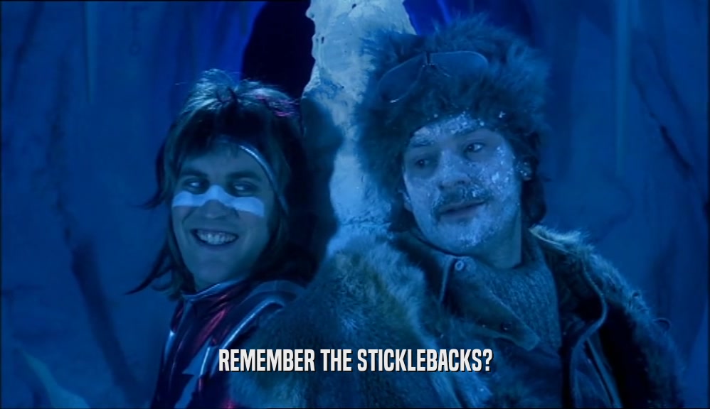 REMEMBER THE STICKLEBACKS?  