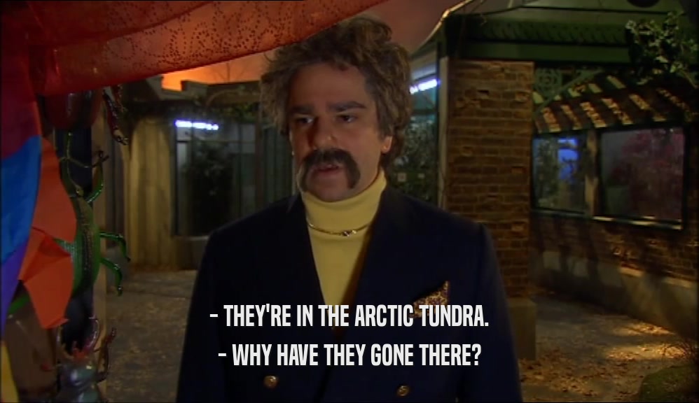 - THEY'RE IN THE ARCTIC TUNDRA. - WHY HAVE THEY GONE THERE? 