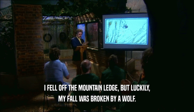 I FELL OFF THE MOUNTAIN LEDGE, BUT LUCKILY, MY FALL WAS BROKEN BY A WOLF. 
