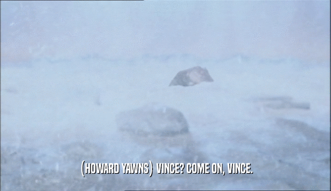 (HOWARD YAWNS) VINCE? COME ON, VINCE.  