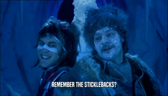 REMEMBER THE STICKLEBACKS?  
