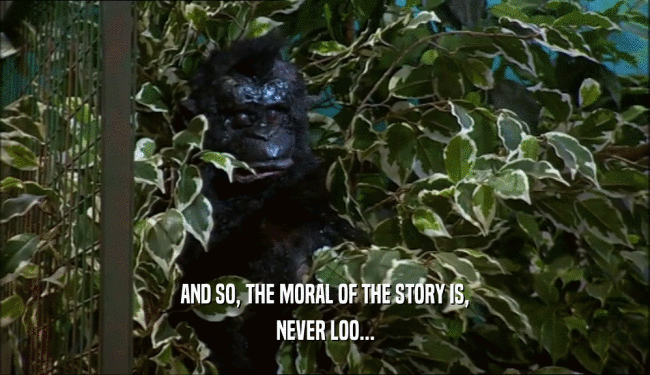 AND SO, THE MORAL OF THE STORY IS, NEVER LOO... 
