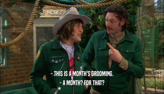 - THIS IS A MONTH'S GROOMING. - A MONTH? FOR THAT? 