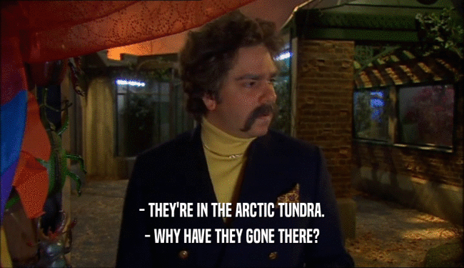 - THEY'RE IN THE ARCTIC TUNDRA. - WHY HAVE THEY GONE THERE? 