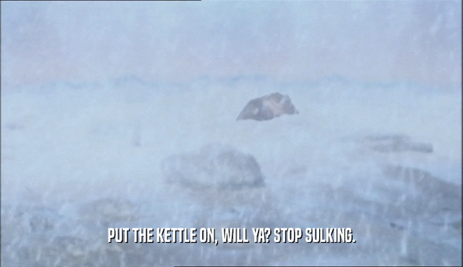 PUT THE KETTLE ON, WILL YA? STOP SULKING.  