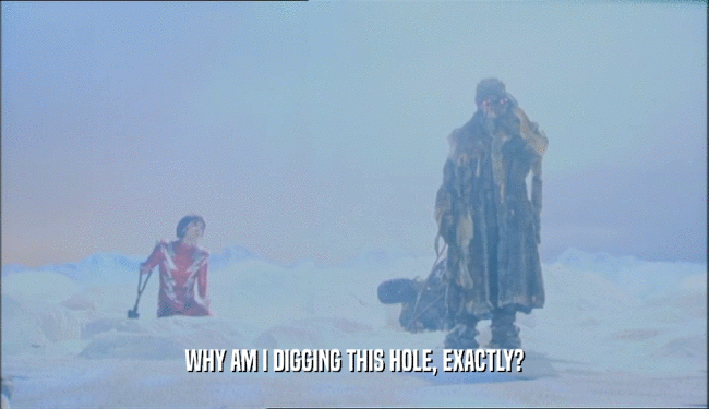 WHY AM I DIGGING THIS HOLE, EXACTLY?  