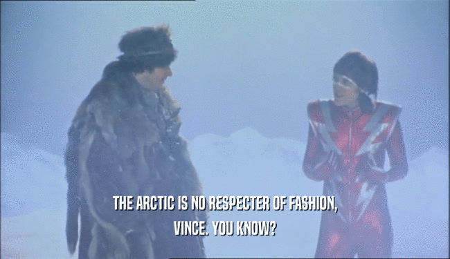 THE ARCTIC IS NO RESPECTER OF FASHION, VINCE. YOU KNOW? 