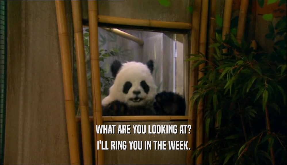 WHAT ARE YOU LOOKING AT? I'LL RING YOU IN THE WEEK. 