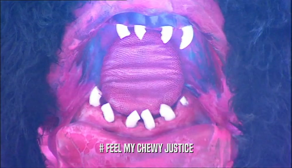 # FEEL MY CHEWY JUSTICE  