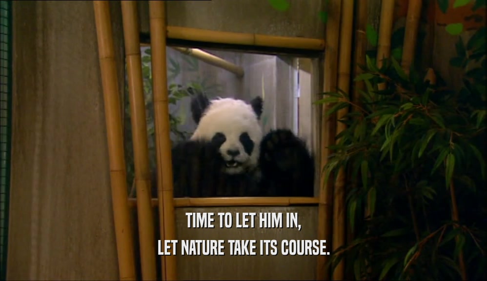 TIME TO LET HIM IN, LET NATURE TAKE ITS COURSE. 