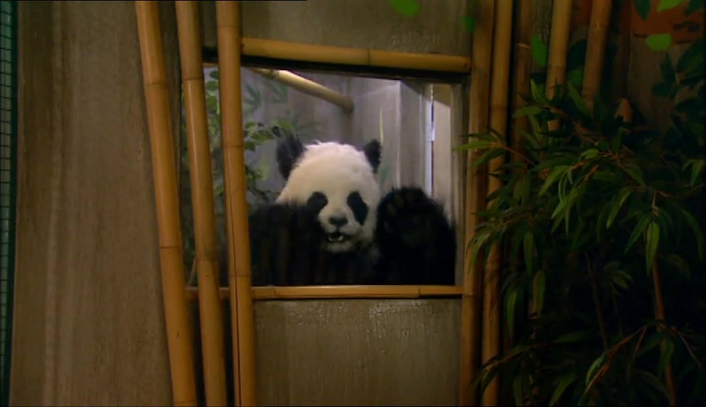 TIME TO LET HIM IN, LET NATURE TAKE ITS COURSE. 