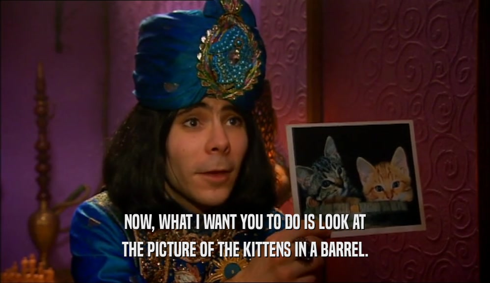 NOW, WHAT I WANT YOU TO DO IS LOOK AT THE PICTURE OF THE KITTENS IN A BARREL. 