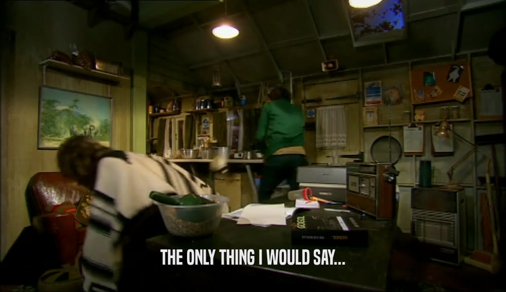 THE ONLY THING I WOULD SAY...  