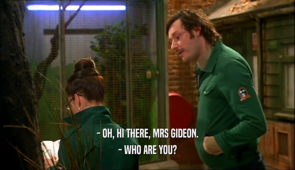- OH, HI THERE, MRS GIDEON. - WHO ARE YOU? 