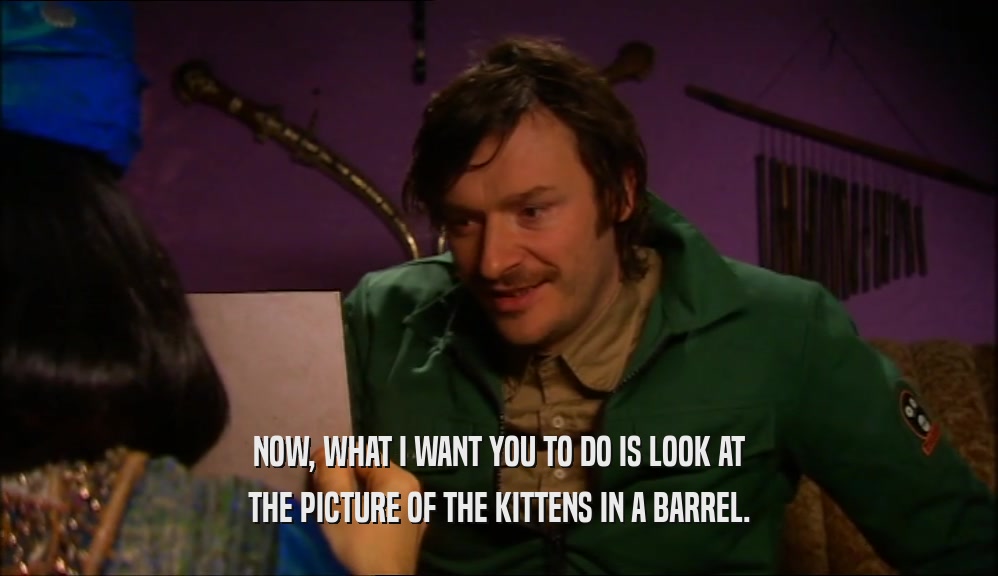 NOW, WHAT I WANT YOU TO DO IS LOOK AT THE PICTURE OF THE KITTENS IN A BARREL. 