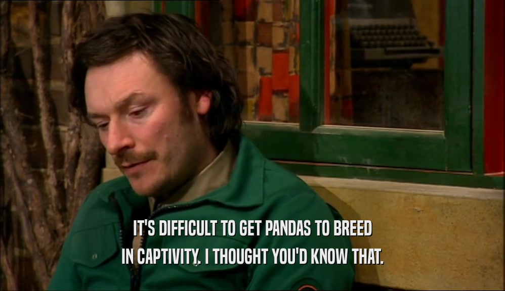 IT'S DIFFICULT TO GET PANDAS TO BREED IN CAPTIVITY. I THOUGHT YOU'D KNOW THAT. 