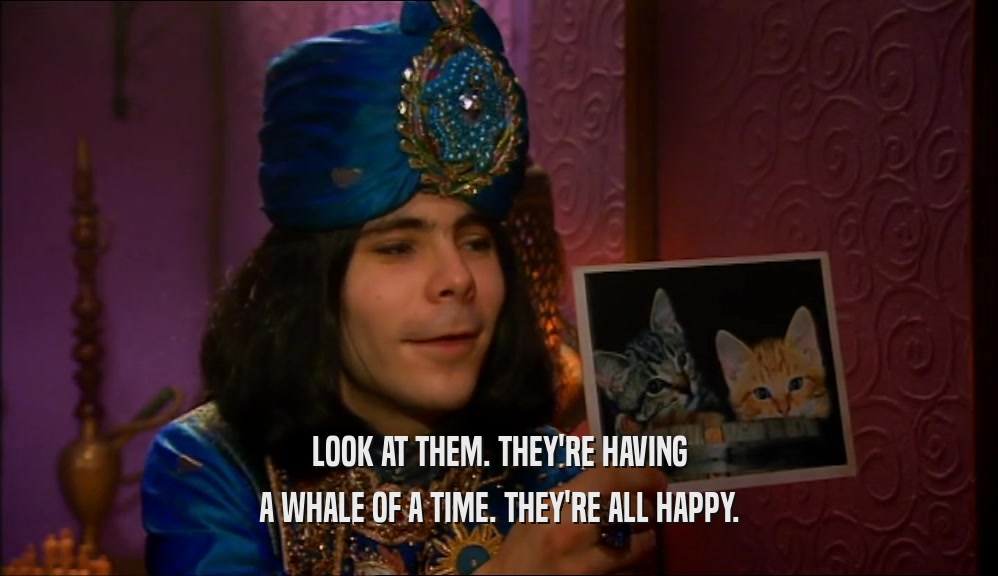LOOK AT THEM. THEY'RE HAVING A WHALE OF A TIME. THEY'RE ALL HAPPY. 