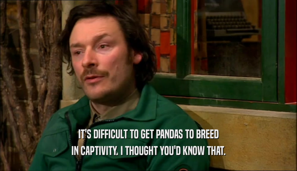 IT'S DIFFICULT TO GET PANDAS TO BREED IN CAPTIVITY. I THOUGHT YOU'D KNOW THAT. 