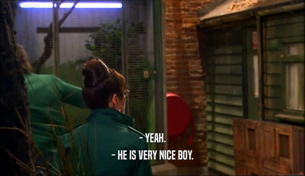 - YEAH.
 - HE IS VERY NICE BOY.
 