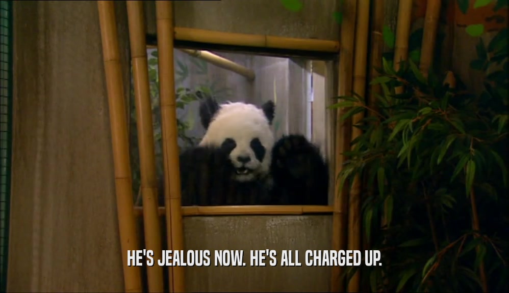 HE'S JEALOUS NOW. HE'S ALL CHARGED UP.  