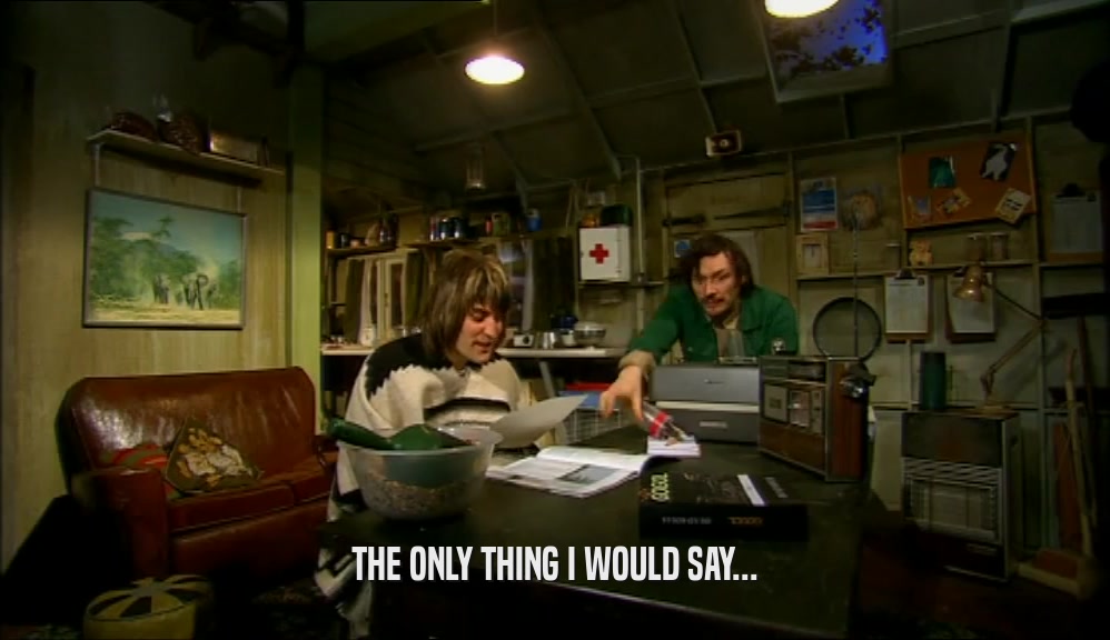 THE ONLY THING I WOULD SAY...  