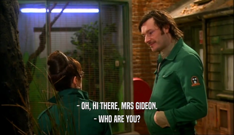 - OH, HI THERE, MRS GIDEON. - WHO ARE YOU? 