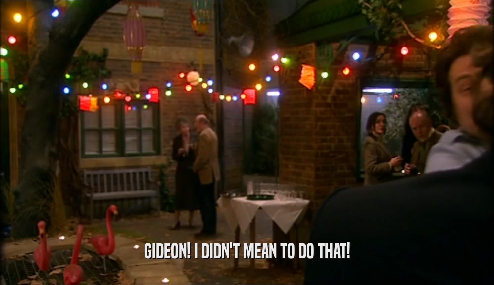 GIDEON! I DIDN'T MEAN TO DO THAT!  