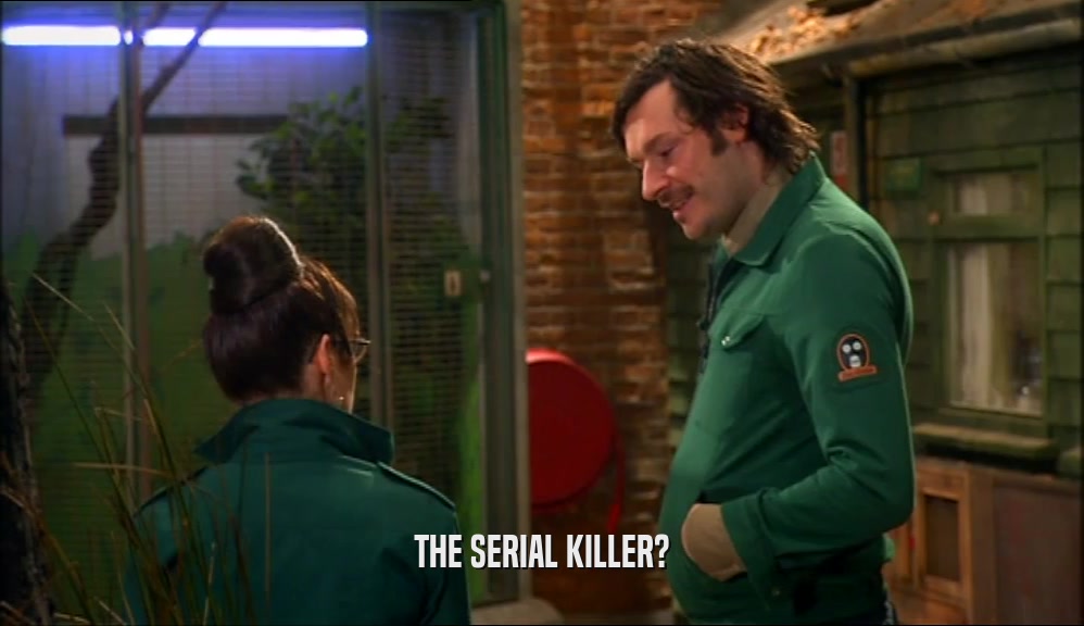THE SERIAL KILLER?
  
