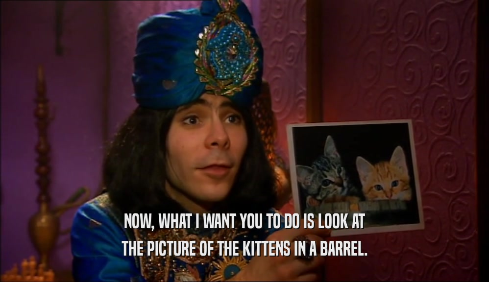 NOW, WHAT I WANT YOU TO DO IS LOOK AT THE PICTURE OF THE KITTENS IN A BARREL. 