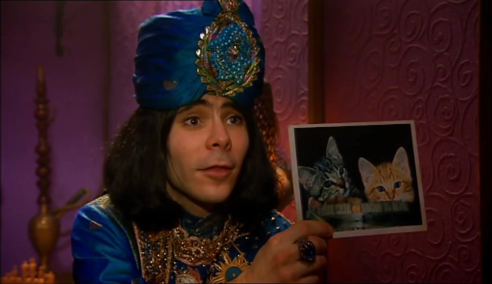 NOW, WHAT I WANT YOU TO DO IS LOOK AT THE PICTURE OF THE KITTENS IN A BARREL. 