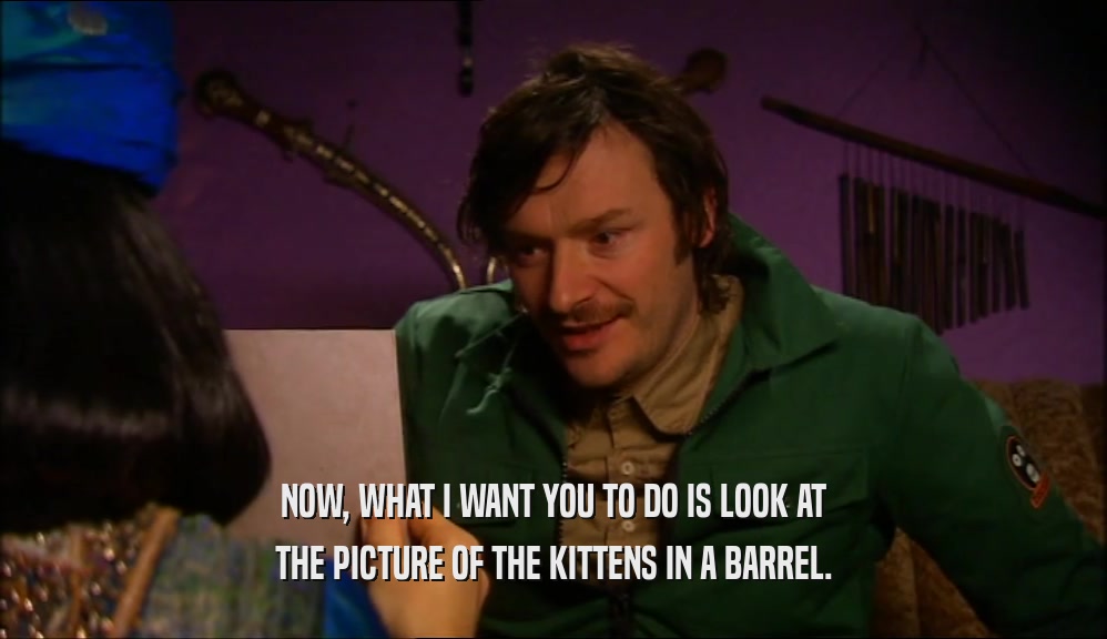 NOW, WHAT I WANT YOU TO DO IS LOOK AT THE PICTURE OF THE KITTENS IN A BARREL. 