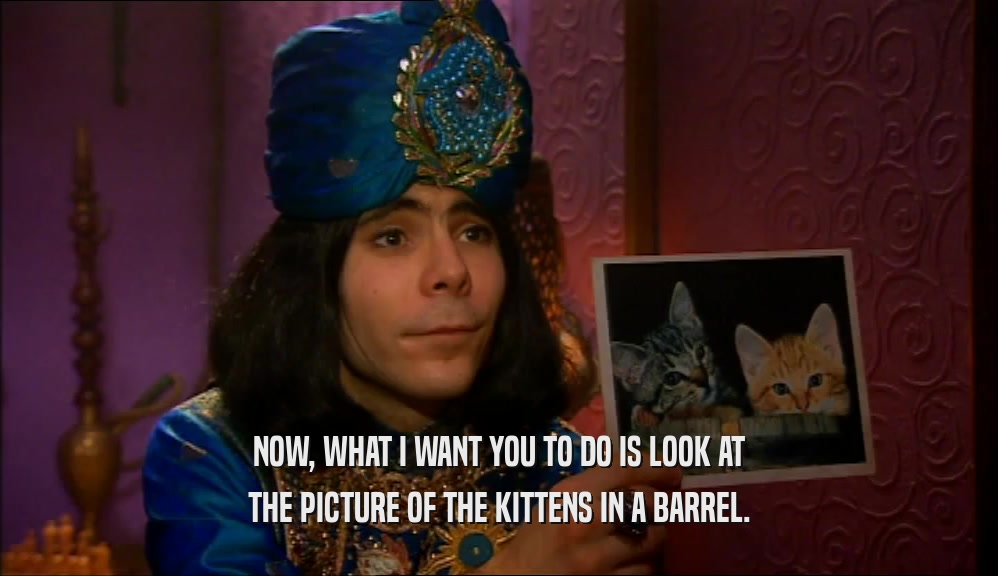 NOW, WHAT I WANT YOU TO DO IS LOOK AT THE PICTURE OF THE KITTENS IN A BARREL. 