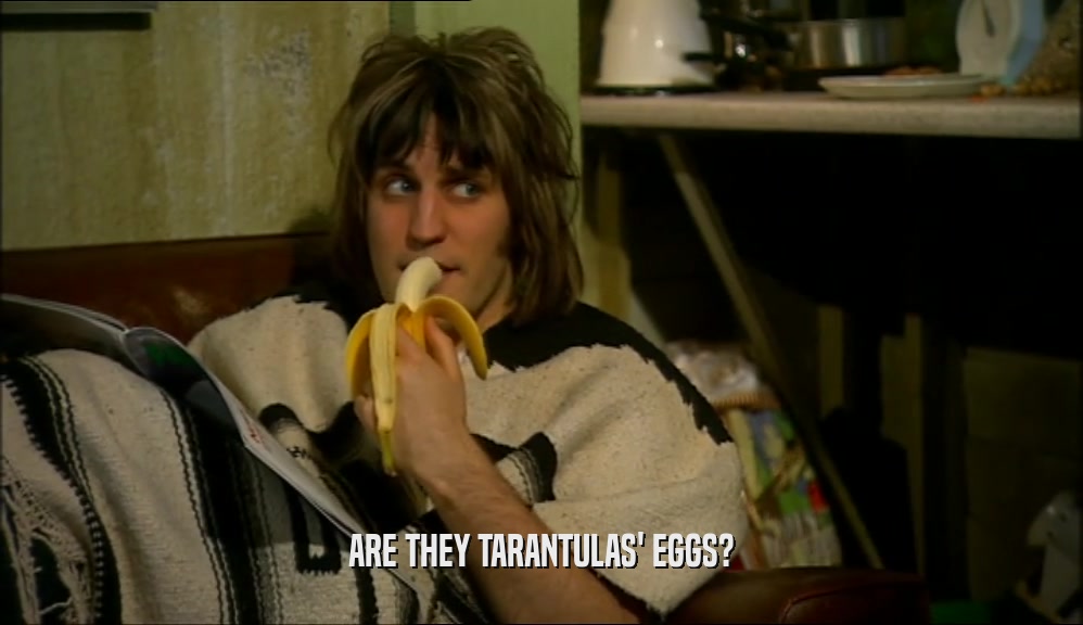 ARE THEY TARANTULAS' EGGS?
  