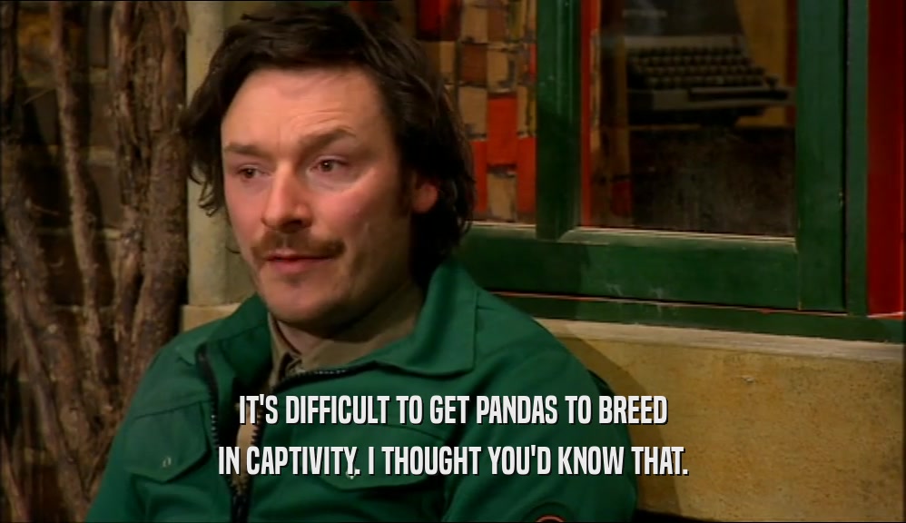 IT'S DIFFICULT TO GET PANDAS TO BREED IN CAPTIVITY. I THOUGHT YOU'D KNOW THAT. 